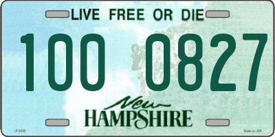 NH license plate 1000827