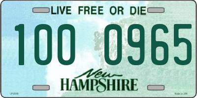 NH license plate 1000965