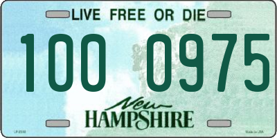 NH license plate 1000975
