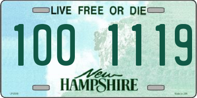 NH license plate 1001119