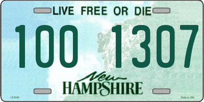 NH license plate 1001307