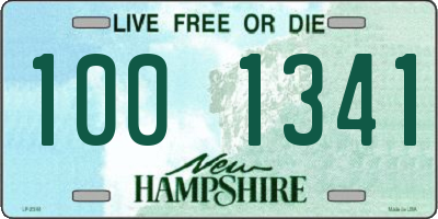 NH license plate 1001341
