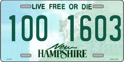 NH license plate 1001603