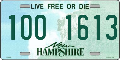 NH license plate 1001613
