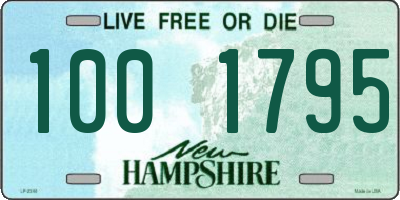 NH license plate 1001795