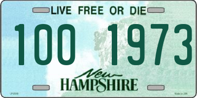 NH license plate 1001973