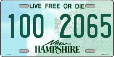 NH license plate 1002065