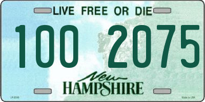 NH license plate 1002075