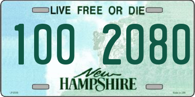 NH license plate 1002080