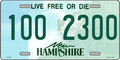 NH license plate 1002300