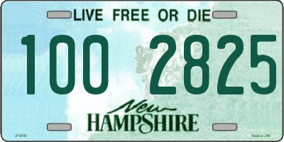 NH license plate 1002825