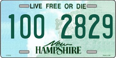 NH license plate 1002829