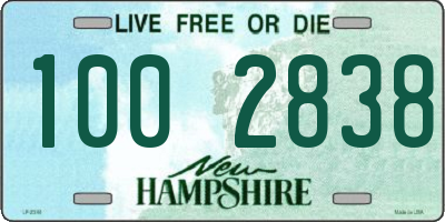 NH license plate 1002838