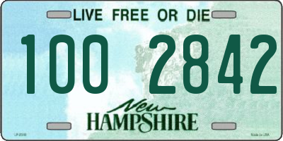 NH license plate 1002842