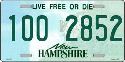NH license plate 1002852