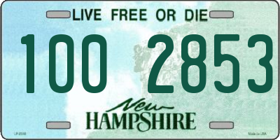 NH license plate 1002853