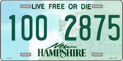 NH license plate 1002875