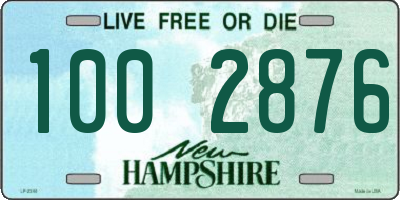 NH license plate 1002876