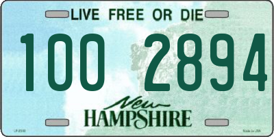 NH license plate 1002894