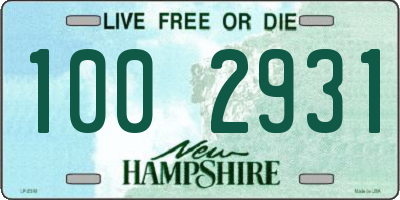 NH license plate 1002931