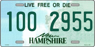 NH license plate 1002955