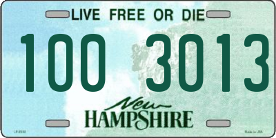NH license plate 1003013