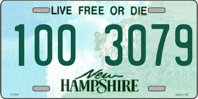 NH license plate 1003079