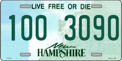NH license plate 1003090
