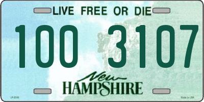 NH license plate 1003107
