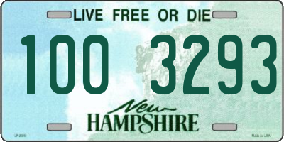 NH license plate 1003293