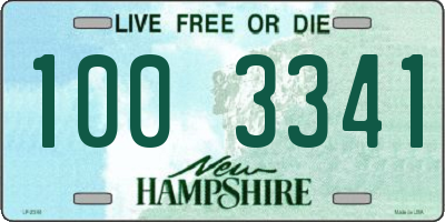 NH license plate 1003341
