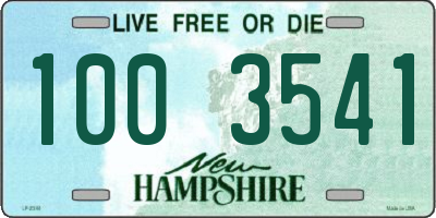 NH license plate 1003541