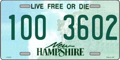 NH license plate 1003602