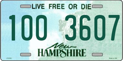 NH license plate 1003607