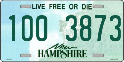 NH license plate 1003873
