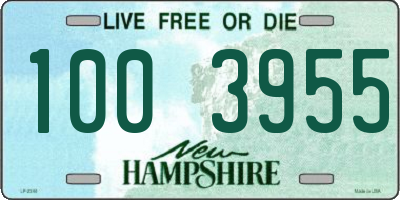 NH license plate 1003955