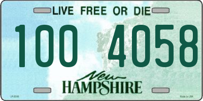 NH license plate 1004058