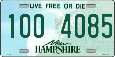 NH license plate 1004085