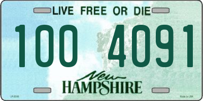 NH license plate 1004091