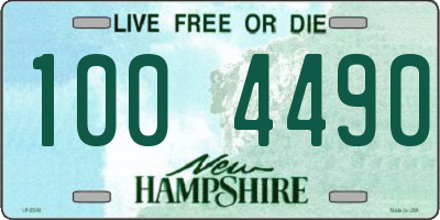 NH license plate 1004490