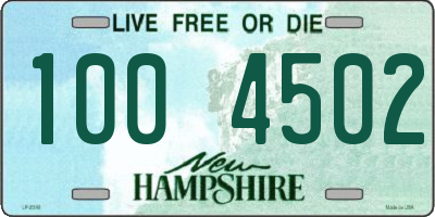 NH license plate 1004502