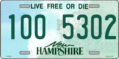 NH license plate 1005302