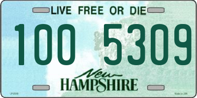 NH license plate 1005309