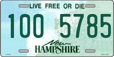 NH license plate 1005785