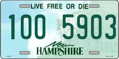 NH license plate 1005903