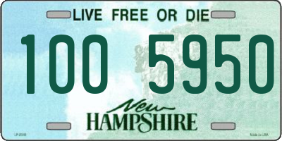 NH license plate 1005950
