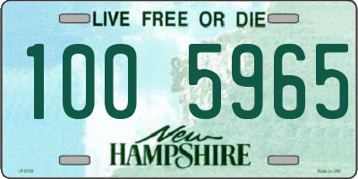 NH license plate 1005965