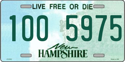 NH license plate 1005975