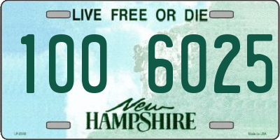 NH license plate 1006025