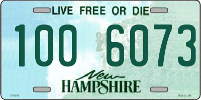 NH license plate 1006073